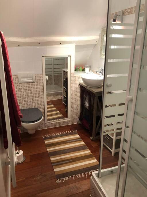 Le Vieux Moulin Chamant Senlis 60300 Apartment Bagian luar foto